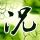 戒掉解释自己的毛病